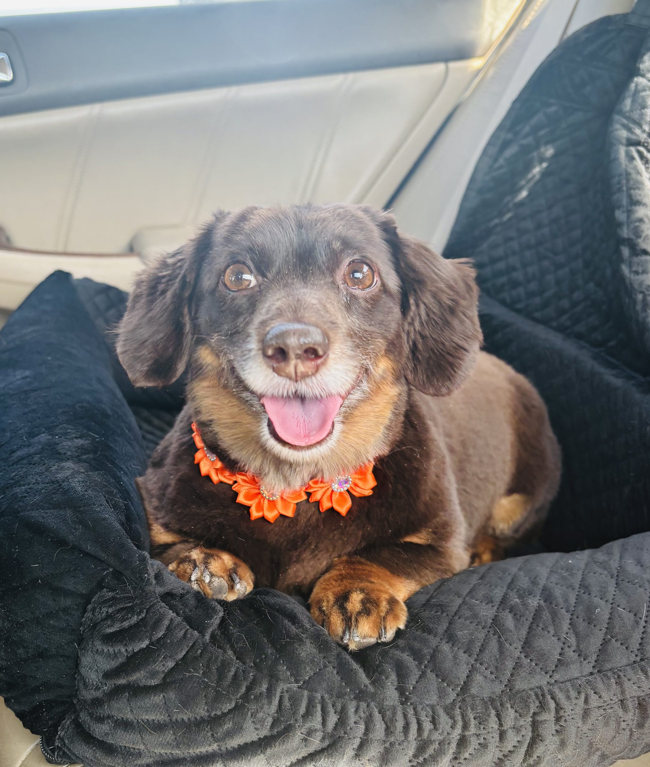 TFDC Patient Liason, Aubrey